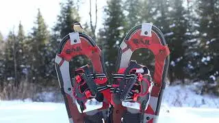 Sail Snowshoes