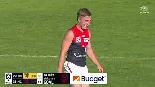 VFL: Jake Melksham Goal - Round 6, 2023