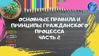 Основные правила и принципы гражданского процесса. Часть 2