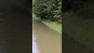 Бог Творец всего живого.