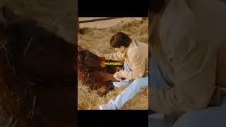 Спас больного жеребёнка и вырастил победителя 