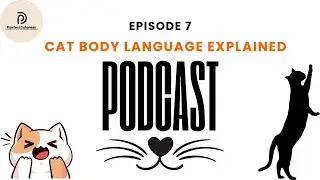 Episode 7 - Cat Body Language Explained