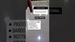 LISTA DOS MEUS CÃES DE GUARDA PREFERIDOS
