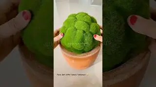 grass artificial plant🌵 #귀여운피아노 #귀여운브금 #브이로그브금 #homedecor #home #garden #skincare #plants #shorts
