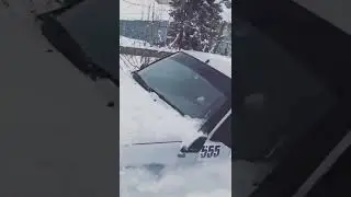 Нива может все