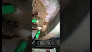 😳 body and chassis Rust 