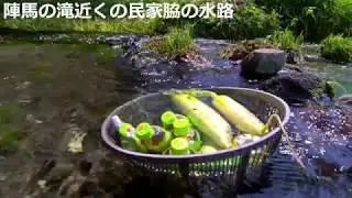富士宮市　猪之頭エリア　湧水散策　【4K】