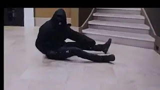 Protection Dog Endangering a Family, what NOT to do