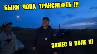 БОРЗАЯ ОХРАНА РАСПУСКАЛА РУКИ ОСАДИЛИ БЫКОВ ЧОПА