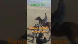 500 с пул буд Хайдар полвон Н Дангара аспи Раиси Пайрав асп бо Номи Барселон