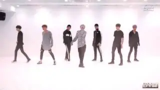 BTS 방탄소년단 - Blood, Sweat and Tears 피 땀 눈물 (dance practice) DVhd