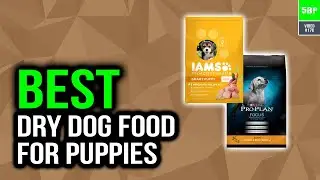 Best Dry Dog Food For Puppies In 2020 (Nutritional Puppy Food)