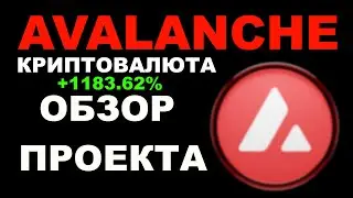 AVAX (AVALANCHE) - ОБЗОР | КРИПТОВАЛЮТА | ПОДРОБНЫЙ РАЗБОР ПРОЕКТА АЛЬТКОИНА