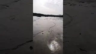 маз 537 в брод