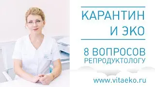 Карантин и ЭКО. 8 вопросов репродуктологу