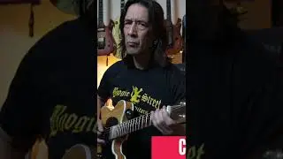 Can The Hawaiian Chug on a Tele? #chug #guitar #chuglife #metal #guitarist #telecaster #countrychug