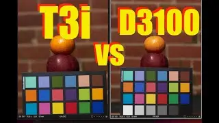 Canon T3i vs Nikon D3100 (completo 2024)