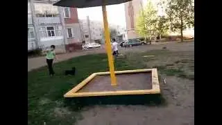 Зомби апокалипсис