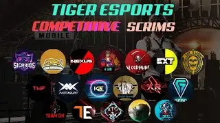 BGMI custom Room And Scrims || Bgmi Live With Tiger and Wolf Esports