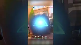 RADIANT OMEN OUTPLAY