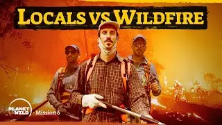 How citizens protect themselves against wildfires