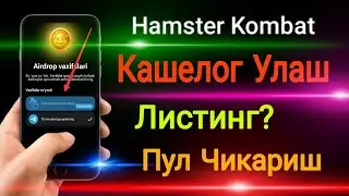 Hamster Kombat | Kashelog Ulash | Pul Chiqarish? Ohirgi Malumotlar