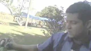una cascabel muy  grande.wmv
