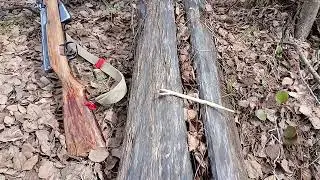 A second bear was killed in the Kudykin Mountains on May 13, 2024.