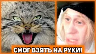 КОГДА АЛЬБОМ? СОВЕТ НАЧИНАЮЩИМ МУЗЫКАНТАМ///ПЛОХОЙ ПАРЕНЬ ПРО ВРАЧЕЙ