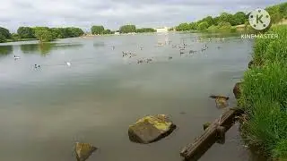 YEADON TARN | DAY TICKET | CLUB WATER | PARK LAKE