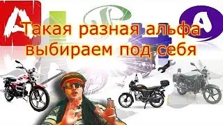 Подумываешь купить альфу?  Лучшие мопеды альфа, достойные вниманиия!
