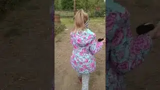 Дачники