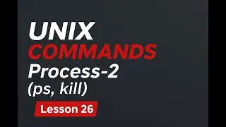 Master UNIX Process-2 Commands | ps & kill | Lesson 26