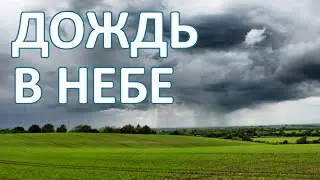 Полёт сквозь дождь