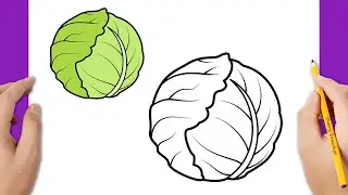 HOW TO DRAW A CABBAGE EASY