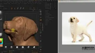 Học zbrush_Năm tuất điêu khắc tượng cún con_Phần 05