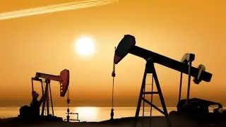 petroleum industry business
