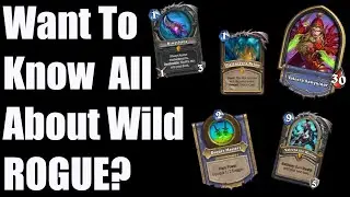 Wild Class Overviews: ROGUE!