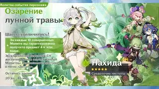 Genshin Impact. Ранг 55. Нахида! Вернись в Коноху! #56