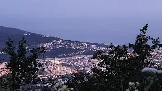 Энергичное катание на квадриках! 😊