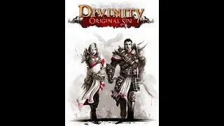 Кооперативные приключения:Divinity Original Sin Enhanced Edition #1
