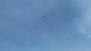 7.02.2024г.Голуби АСВ дубль 2