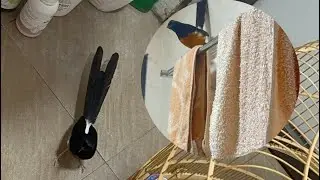 Tí thì vụt mất e lửa ĐẦU THÁNG ;)