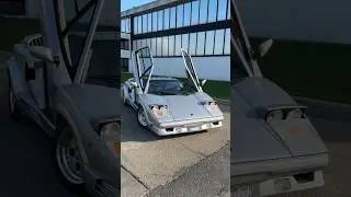 CHOOSE ONE! Lamborghini Countach & Diablo 😳