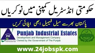 Jobs in Punjab Industrial Estate Development and Management Company | How To Apply - Complete Guide