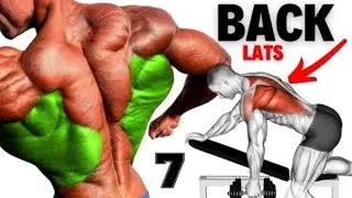 Back Workout At Home