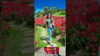 Hasil foto menggunakan preset HDR Colour #lightroompresets #presetlightroomgratis