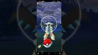 Zorua thinks I'm stupid but I'm not