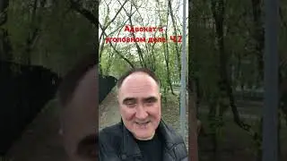 Адвокат в уголовном деле 