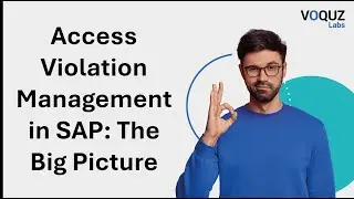 Access Violation Management in SAP - The Big Picture